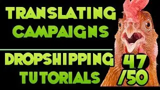 Using Onehourtranslations to translate Facebook Ads – [Free DropShipping Video Tutorials # 46/50]