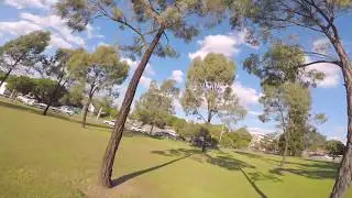 Impulse RC Alien