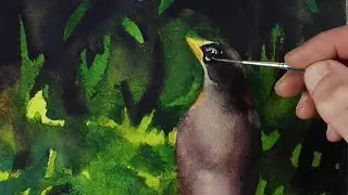 How To Paint A Bird with Watercolors