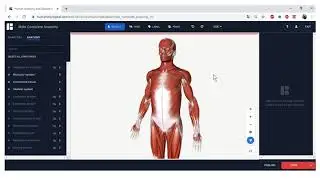 TRK2 P8 Instructie Human Biodigital