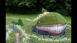Whale Bloom in Barnaul