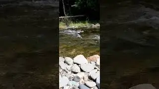 Soothing River Sounds 💧