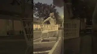 TESLA OWNER SAVES THE DAY