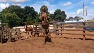 Tragédia de percurso...