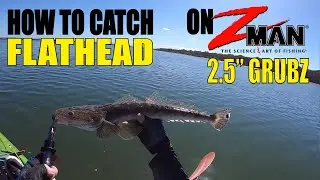 How to Catch Flathead on Soft Plastics - ZMan 2.5