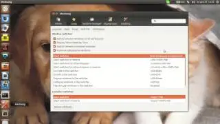How to install Mechanig and review of some new features
