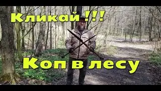 Приключения копарского дня Лесной КОП 2020