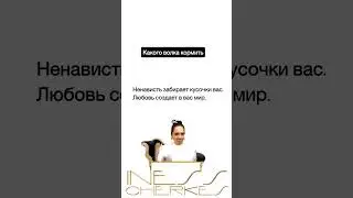 Моя #поддержка ! #психология #отношения #саморазвитие #мышление #цитаты #любовь #психолог #развитие