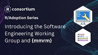 Introducing the Software Engineering Working Group and {mmrm}