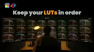 LUT Management in Final Cut Pro in 2025