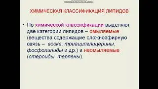 Липиды