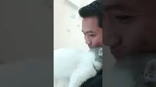 Lambing ni Taju at Yukki