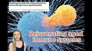 Rejuvenating aged immune systems (Ross et al, Nature 2024)