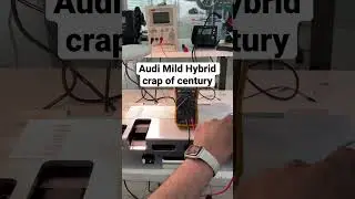 Audi Mildhybrid deepdischarge 48V LGChem refurbish 