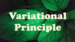 Variational Principle or Calculus of Variations