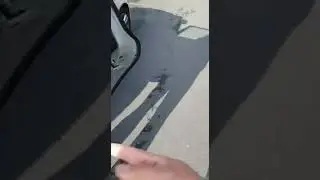 Vile taxi customer