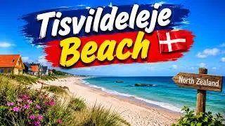 Copenhagen to Tisvildeleje Beach | Day Trip to Tisvildeleje | Tisvildeleje Beach - North Zealand