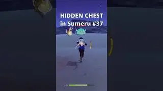 HIDDEN CHEST you might have missed in Sumeru #37 | Genshin Impact 