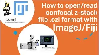 Part-1: How to open/read confocal z-stack file .czi format with ImageJ/Fiji?