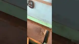 Осмотр пчелосемей перед зимовкой. 05.12.2023