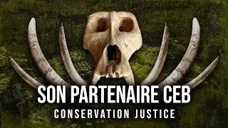 [Documentaire] Precious Woods-CEB GABON - CONSERVATION JUSTICE