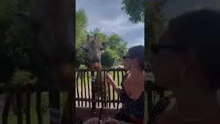 Такого я не ожидала😱😭 Мечта сбылась на Бали! Завтрак с Жирафом 