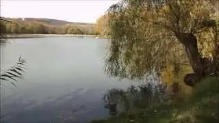 Кишинев озеро - парк - скулянка. Видео зарисовка. Автор Игорь и Дима.