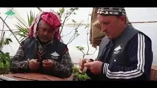إعلاني لصالح مؤسسة تعليم بلا حدود / مشروع نصف مليون شجرة