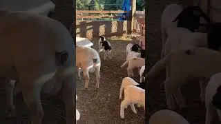 O que vc vai deixar de história