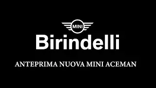 ANTEPRIMA MINI ACEMAN