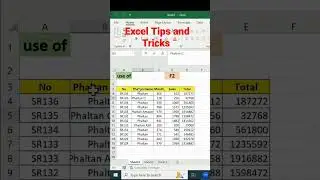 Use of F2 function button in Excel. 