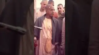 2 июля 2024 г.