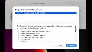 Apple Pro Video Format update info April 2022 PM