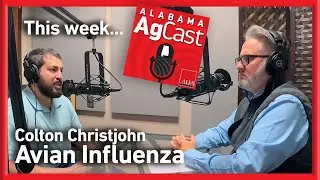 Alabama AgCast: Avian Influenza with Colton Christjohn