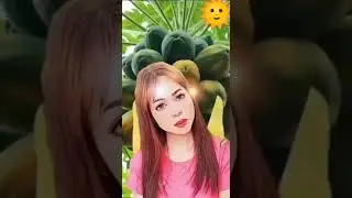 Hawaiian Papaya 
