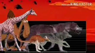 Animal Stampede Part 1