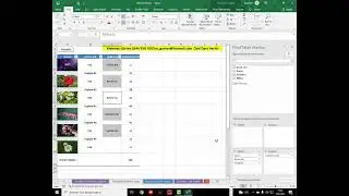 Excel de Resim Getirmek (Tek Resim Liste Halinde Pivot (Özet Tabloya) Açıklamaya Klasör veya Sayfada