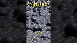 А хлор зачем в водохранилище?