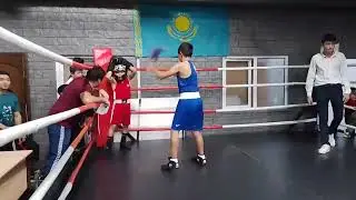 вот это бокс, нағыз бокс ҚАЗАҚ