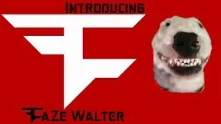 Introducing FaZe Walter