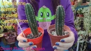 Whats the fastest Growing Cactus from Seed ? 