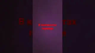 21 мая 2023 г.