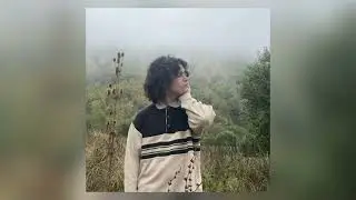 (free) saluki beach rock hotel type beat — betrayal