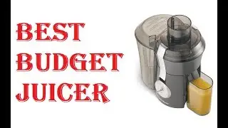Best Budget Juicer 2021