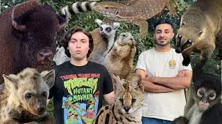 Behind the Scenes of Milele Wildlife Sanctuary
