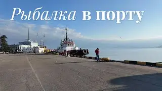 Рассвет и рыбалка в порту Батуми