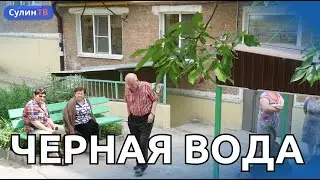 ВОДА ИЗ ЛУЖИ ИЛИ ИЗ КРАНА? 21.06.2023