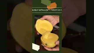 WHAT CAN YOU BUY WITH 1$| 