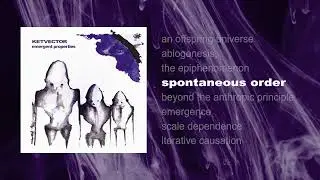 KETVECTOR : spontaneous order : (Official Visualizer)
