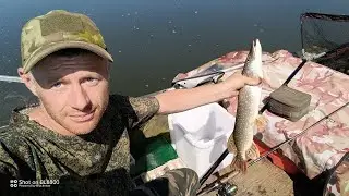 Рыбалка по щуке и окуню